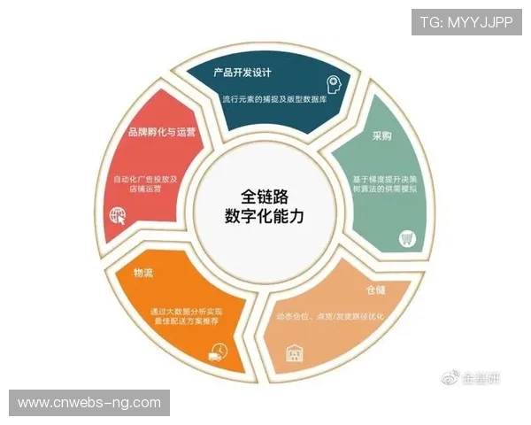 体育场馆运营权数字化招标引入，提升资源配置透明度